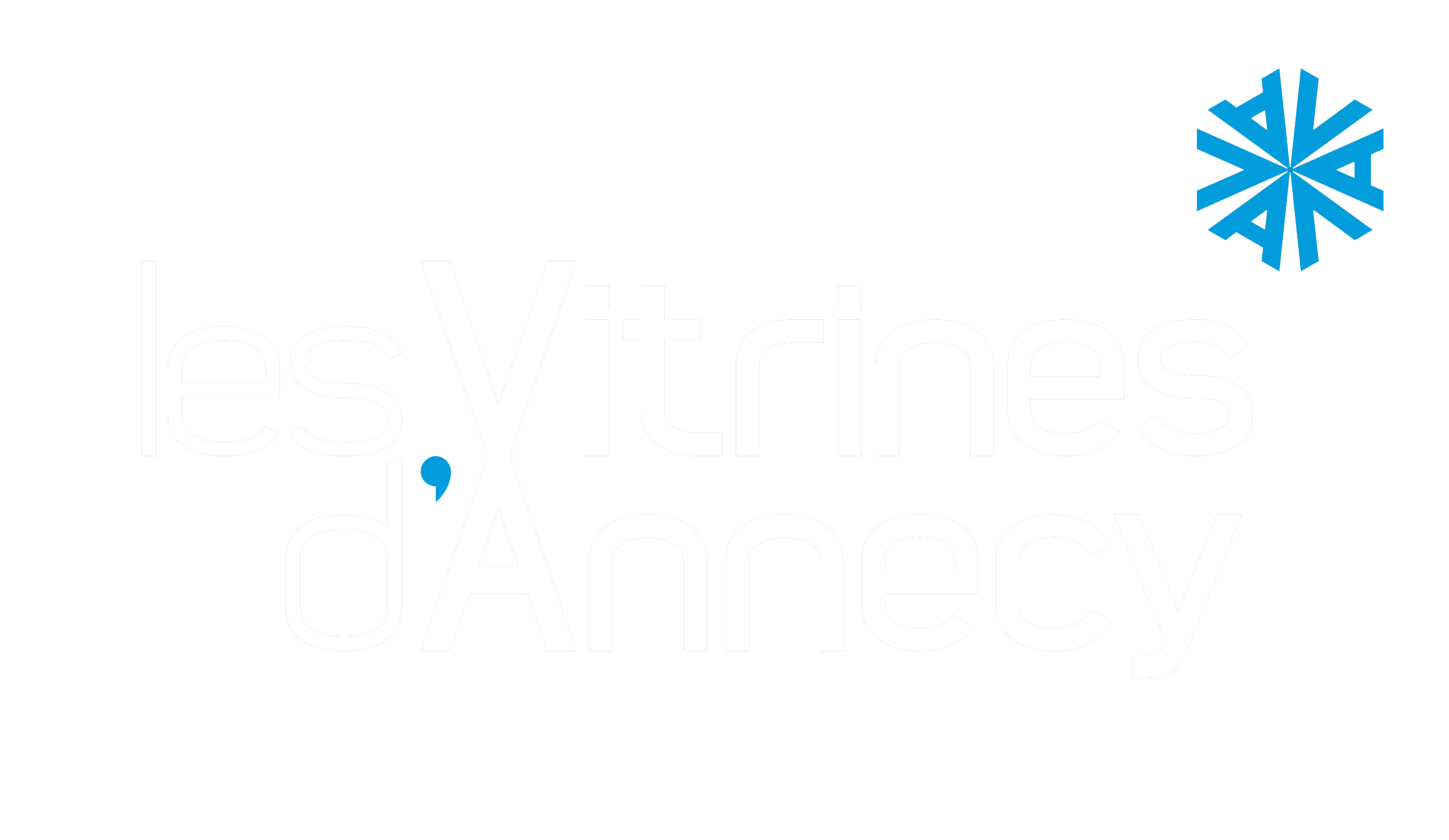 Les Vitrines d'Annecy
